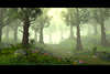 forest and sun!.PNG