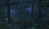 Forest_at_night.png