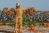 Scarecrow.jpg