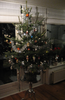 Christmas - Tree.png