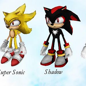 Sonic Adventure Campaign