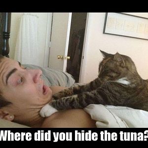 Hey, where the fuck is the tuna?!?!