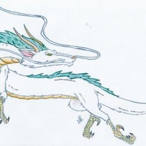 Haku sketch by toki999 (deviantart)

AT LAST >=D  I've found a dragon which resembles me! =3