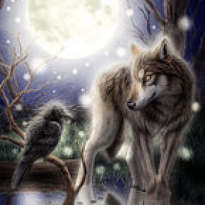 wolf  crow by sheltiewolf d15nrky