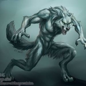 white werewolf by j c d5cy4br