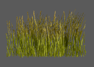 Animated_Grass_Pic.gif