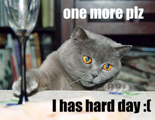 hard-day-kitty.jpg