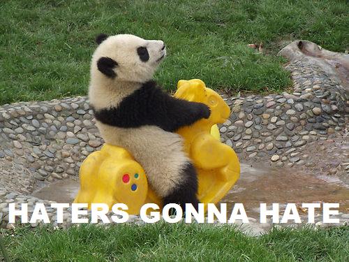 haters-gonna-hate-panda.jpg