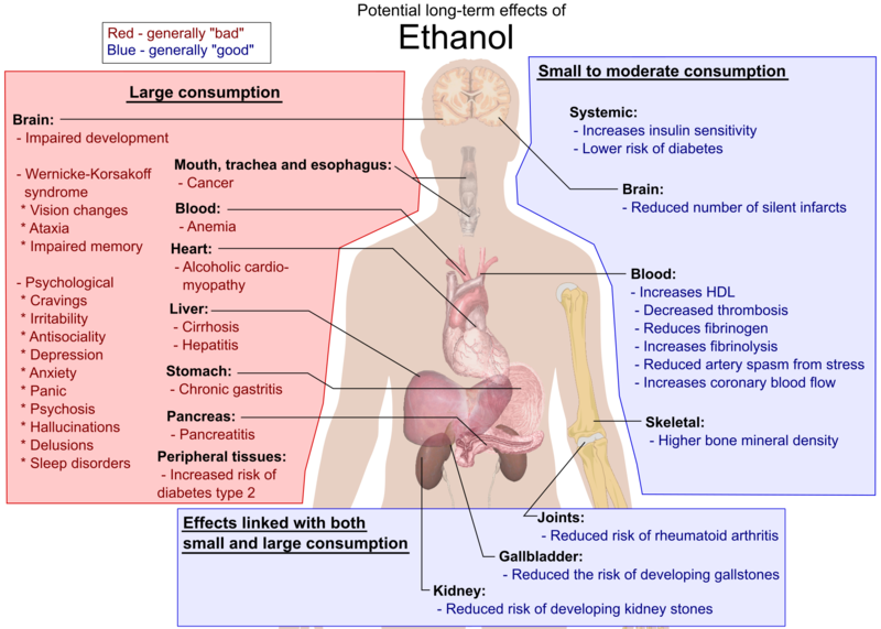 800px-Possible_long-term_effects_of_ethanol.png