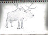 74576d1264954302-noob134-sketches-reindeer.jpg