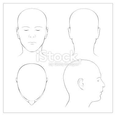 istockphoto_2925059-human-head-surface-anatomy-outline.jpg