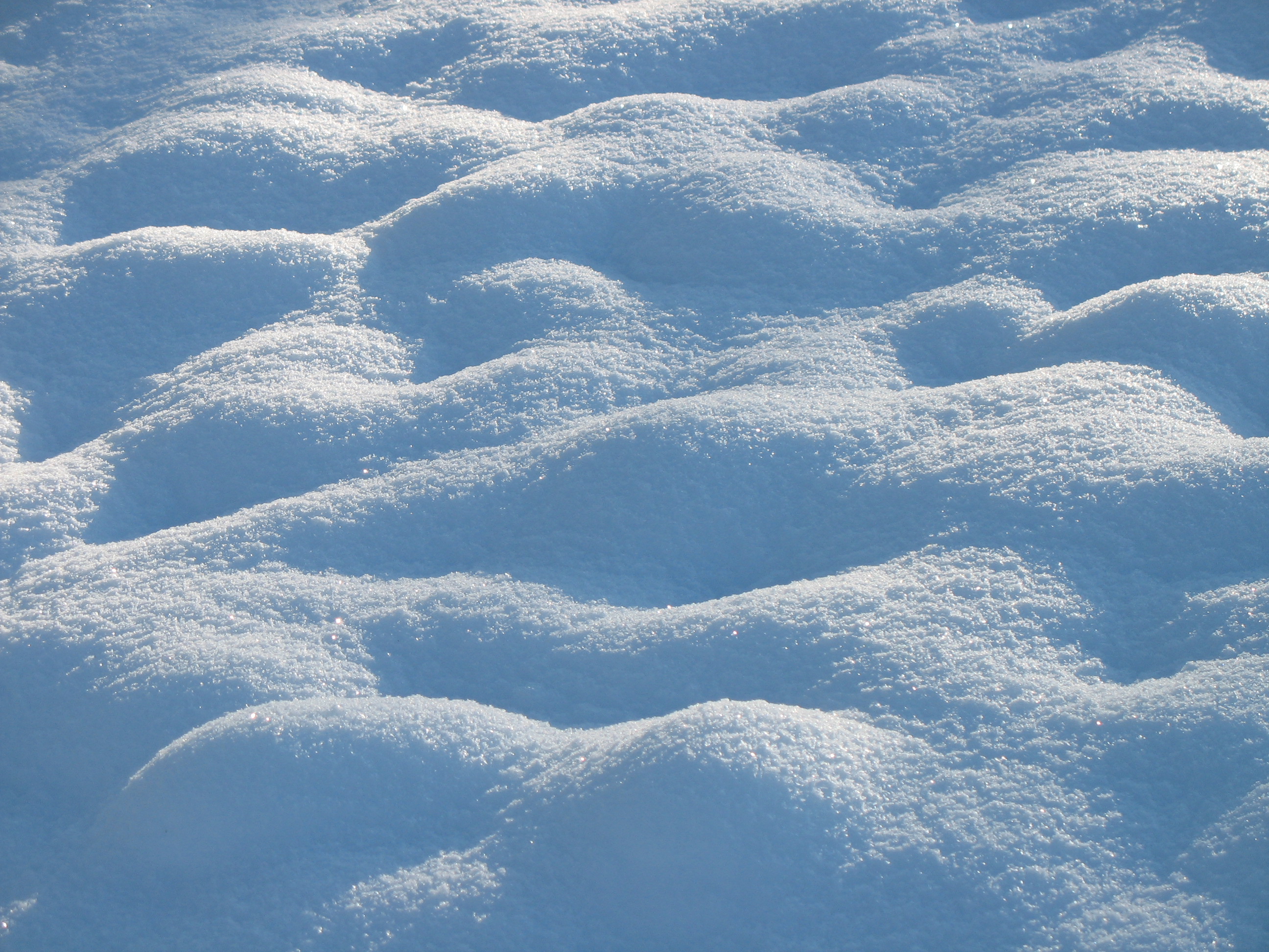 Field-with-snow-champ-enneige.jpg