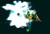 Attack with wata!.JPG