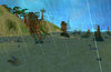 Raining Beach Pic2.jpg