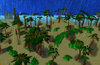 Raining Beack Pic4.jpg