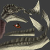 DuneDragonskinshow1.jpg