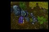 WC3ScrnShot_011507_200547_09.jpg