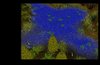 WC3ScrnShot_011507_200607_11.jpg