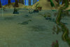 Raining Beach Pic1.jpg