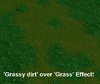 GRASSY.JPG