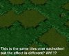GRASS.JPG