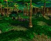 Warcraft3Forest2.JPG