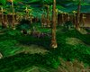 Warcraft3Forest2.JPG