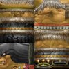 Rexxar.JPG