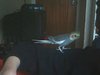 Picture 004.jpg