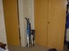Room 002.jpg