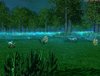 DarkForest.jpg