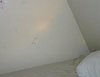 P1000166.JPG