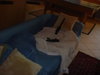 Room2.jpg
