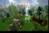 forest1.jpg