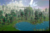forest2.jpg
