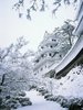 japanese_winter11.jpg