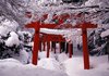 8 Torii in Izushi in the snow.jpg