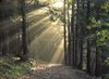 bigstockphoto_Rays_Of_The_Sun_73840.jpg