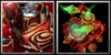 Icons.png