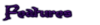 Features.png