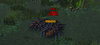 combat.jpg