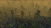 Forest.png