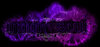 banner.jpg