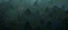 Forest2.png