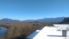 IMAG0017.jpg