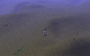 torchflairgif.gif torchflairgif.gif