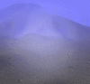 whitelightgif.gif whitelightgif.gif