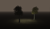 DNC Trees Light.png DNC Trees Light.png