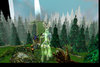 new forest 2.jpg