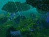 First terrain pic 3.jpg
